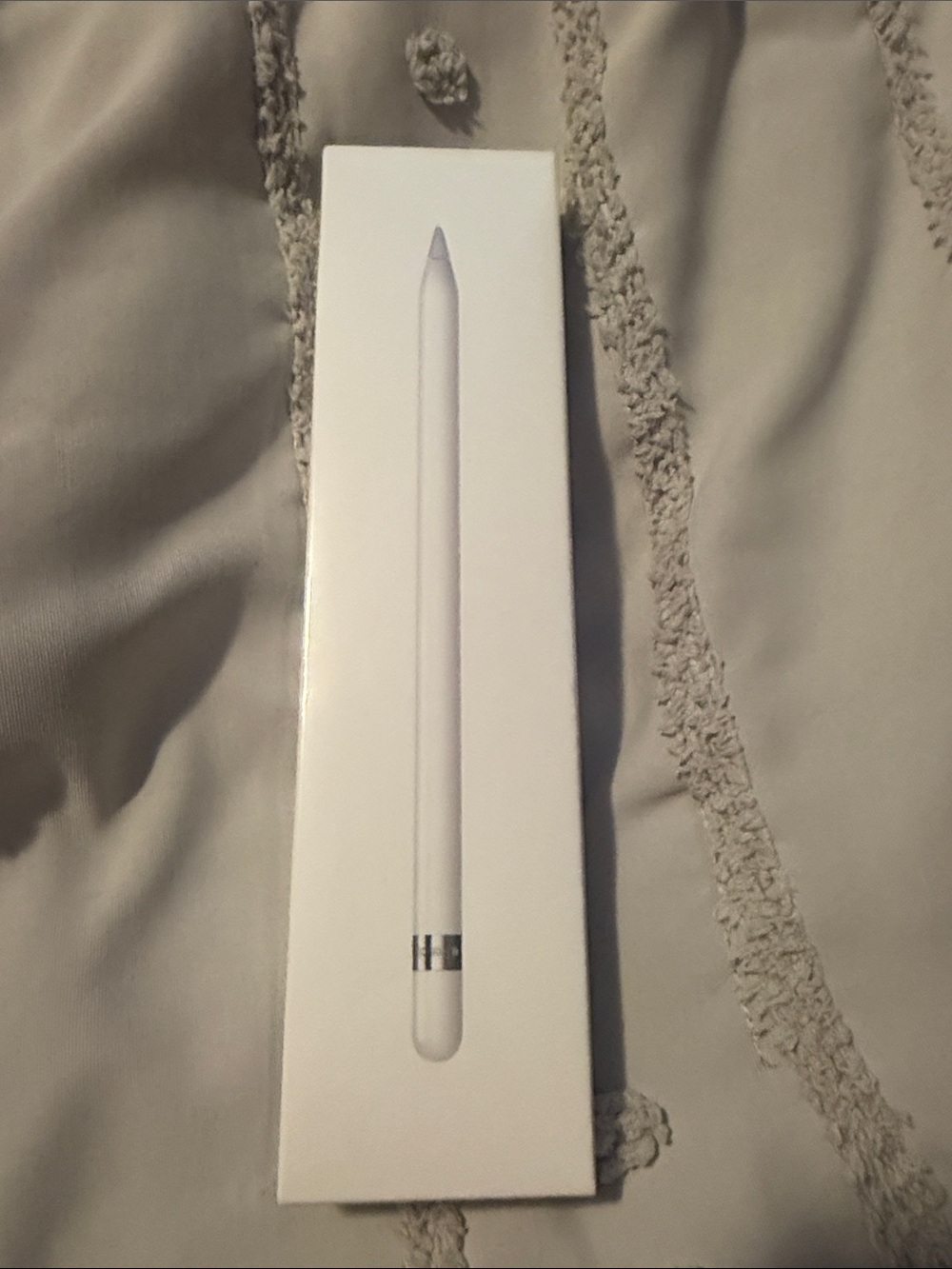 Apple White Pencil Stylus with Silver Accent